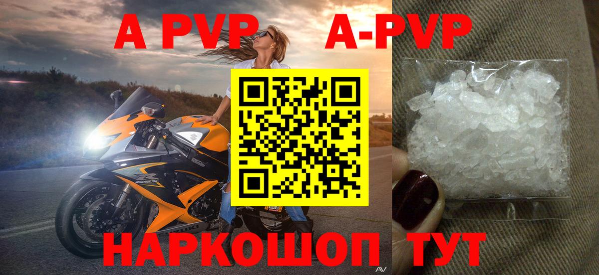 Альфа ПВП СК КРИС Тихорецк