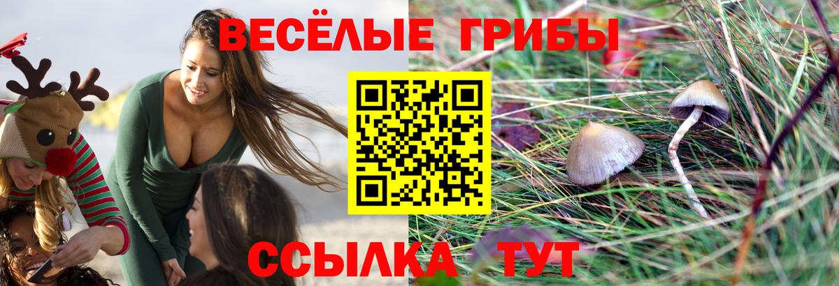Тихорецк  Псилоцибиновые грибы мухоморы  Вход с VPN 